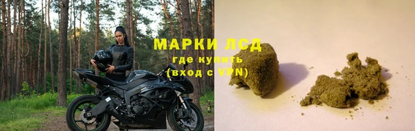 ECSTASY Алзамай