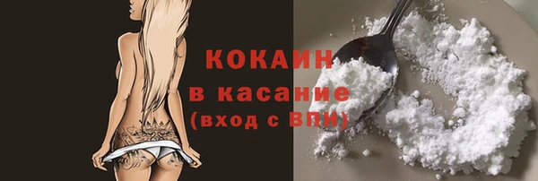 ECSTASY Алзамай