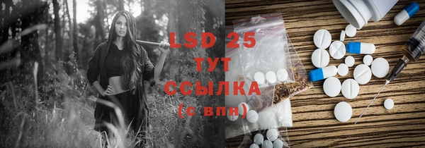 ECSTASY Алзамай